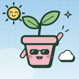 Sunny icon