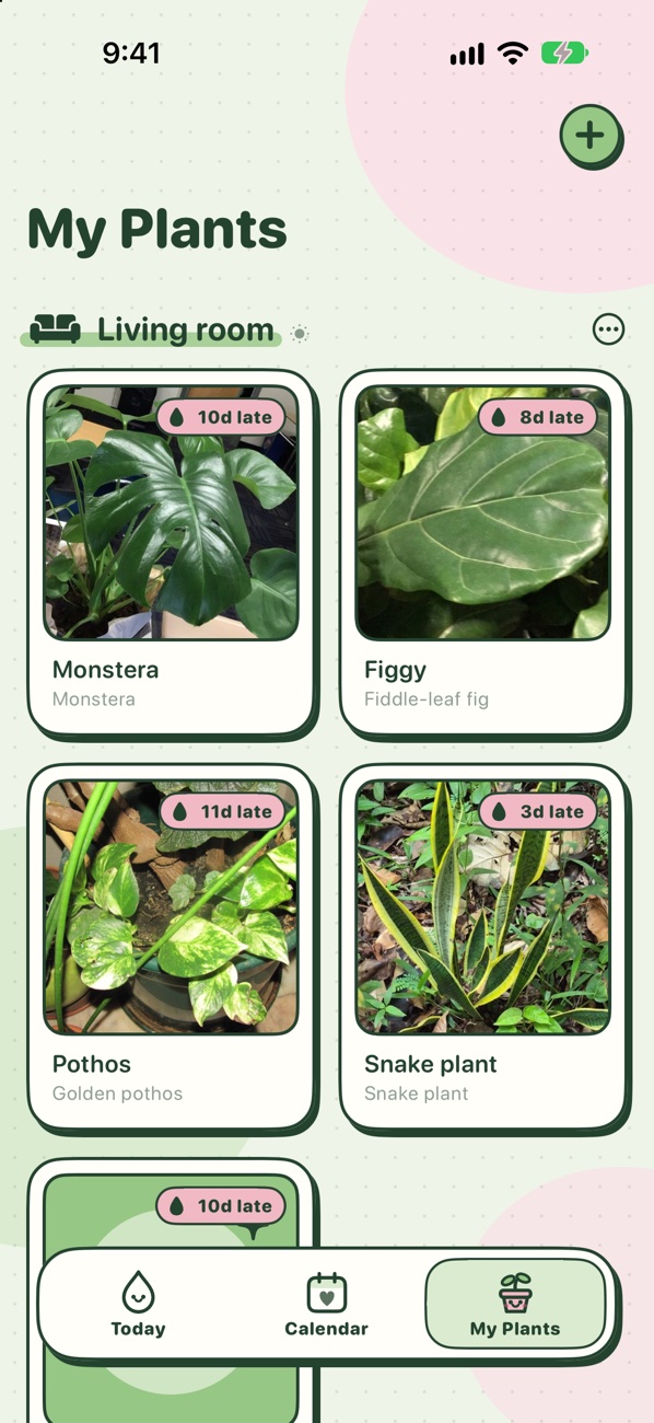 My Plants: photo cards grouped by room