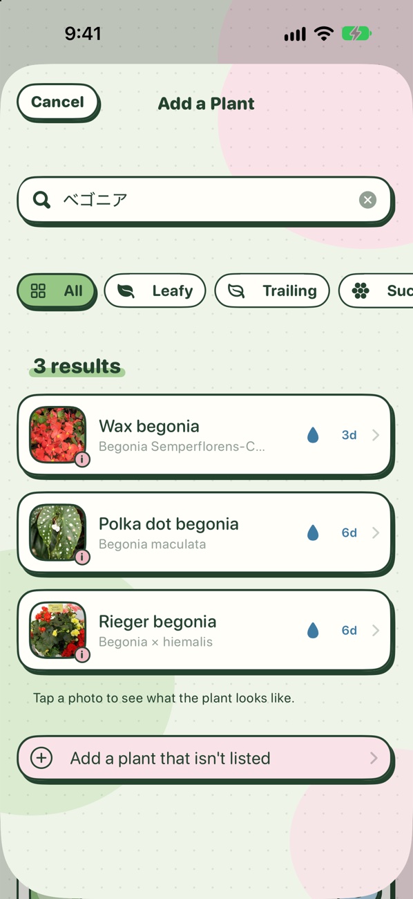 Searching ベゴニア finds the begonias